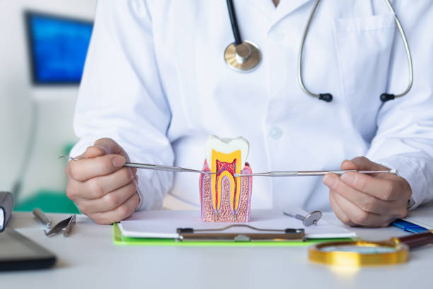 Best Emergency Root Canal Treatment in Ogallala, NE